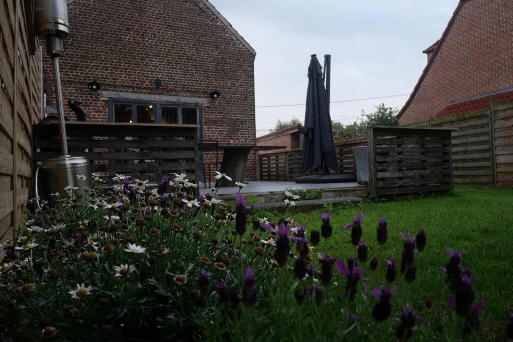 Gîte l ´écurie à la campagne Flines-Les-Mortagne Extérieur photo